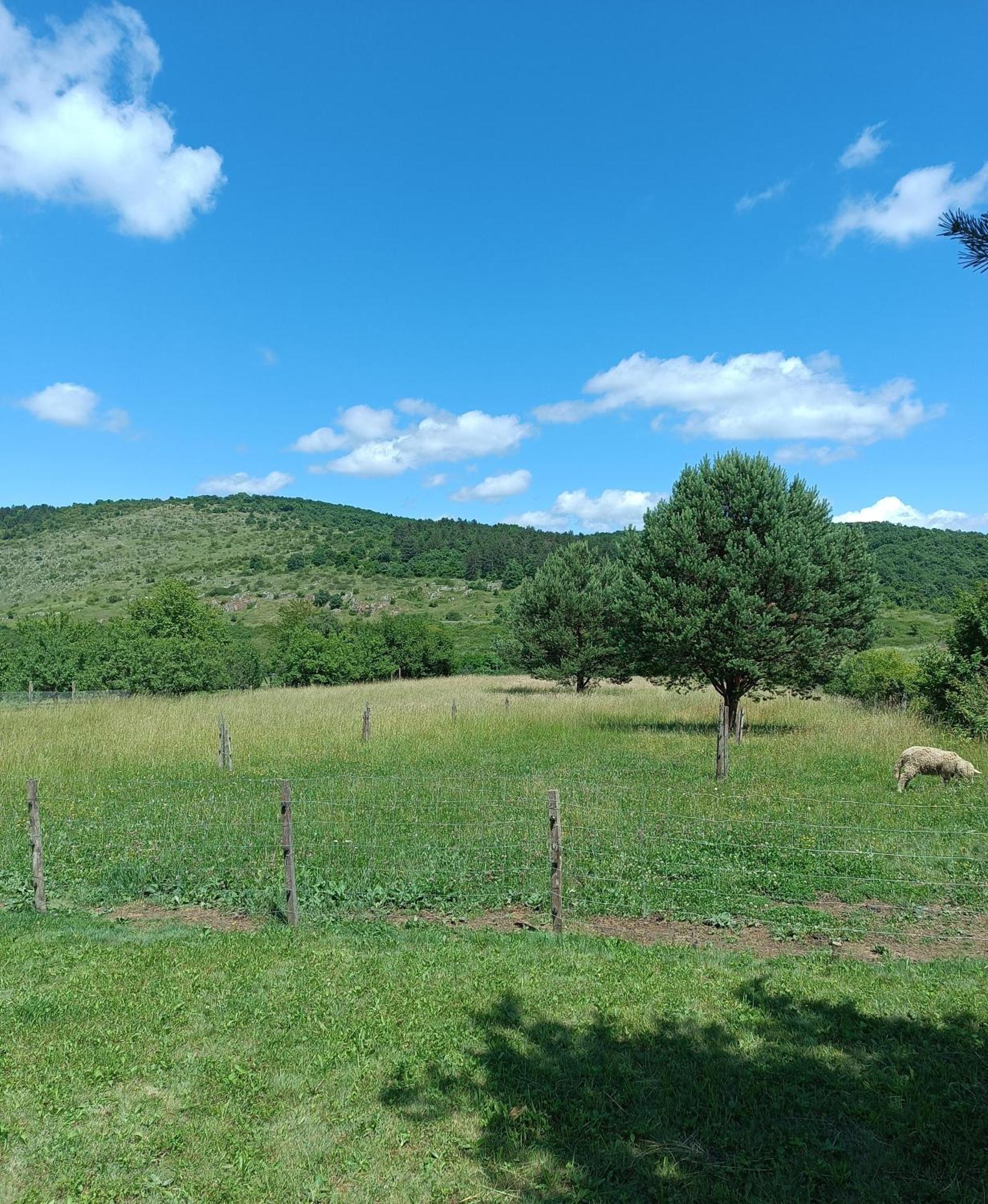 Appartamento Vad-Lak Vendeghaz Aggtelek Esterno foto